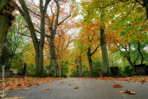 path through a cemetery in a colorful autumnal forest photo