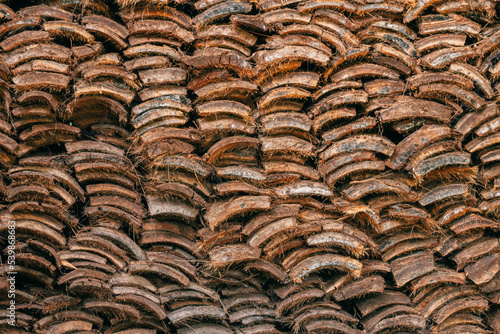 Pile of firewood  © Komodo Studios 