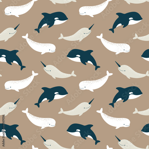Vector seamless pattern with cute killer whale, beluga and narwhal
