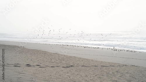 The sea rises to the seafront of Furadouro in Ovar