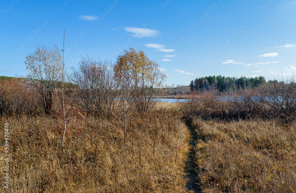 Autumn landscape sunset on the river bank. Wonderful nature, beautiful natural background. Autumn landscape sunset on the river bank. Wonderful nature, beautiful natural background.