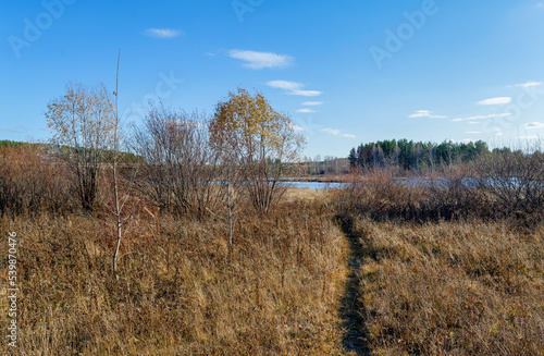 Autumn landscape sunset on the river bank. Wonderful nature, beautiful natural background.