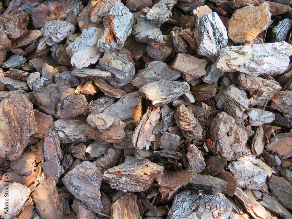close up of a pile of tree bark close up of a pile of tree bark