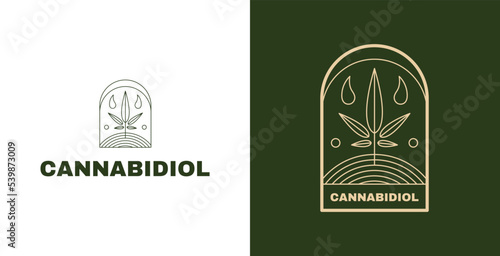 Cannabidiol emblem logo design set, cannabis oil badge symbol, retro style cannabinoids patch concept, CBD marihuana editable commercial logotype, hemp medicine branding, isolated on background