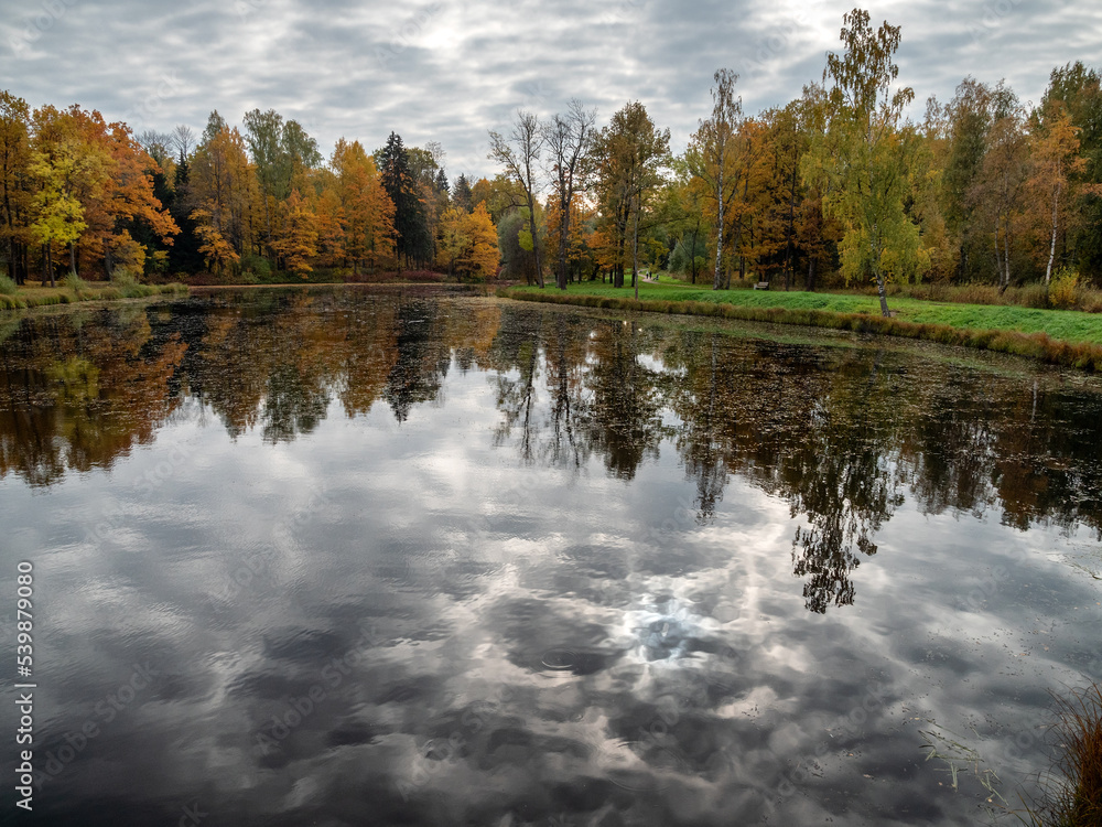 Obraz premium Alexander Park (Tsarskoye Selo). Lansky Pond. Reflection of the sky and clouds in the pond.