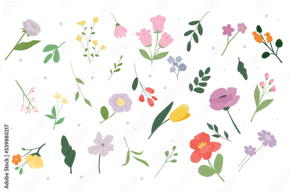 A collection of different types of flower and plant design sources. flat vector illustration.