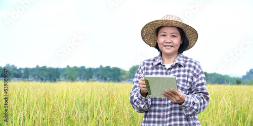 Portrait elderly asian woman wearing hat  holding mobile taplet and standing in rice paddy field  soft and selective focus  concept for smart farmer and happy senior woman in her own lifestlye