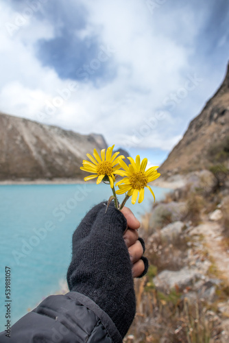flower in the hands