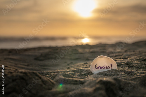 heart on the beach