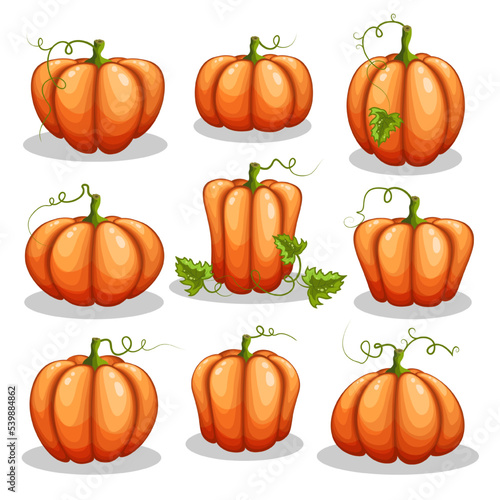 Set of Halloween pumpkins isolated on white background.