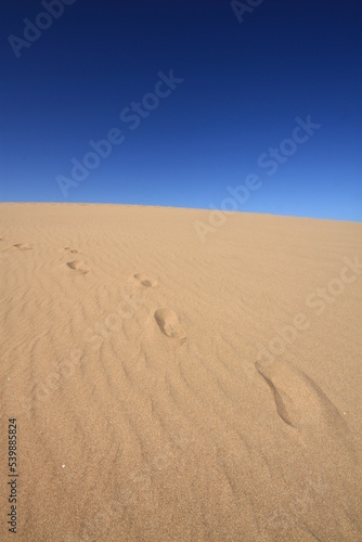 Footprints in sand dunes