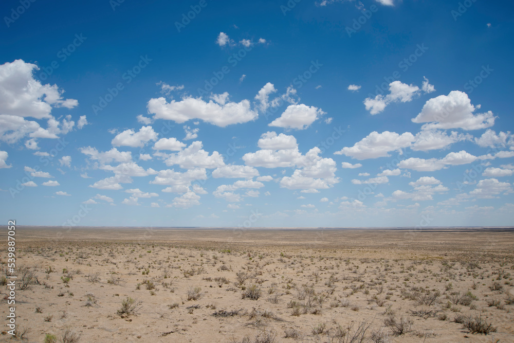 Desert under blue sky and white clouds