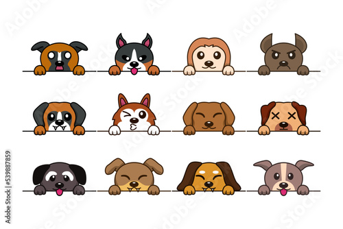 Fototapeta Naklejka Na Ścianę i Meble -  Vector illustration of cute dog head types