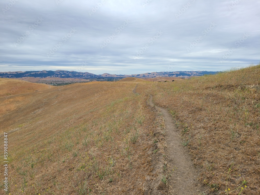 Part of the Hidden Valley Open Space, the trail traverses open hillsides that bloom with greenery and wildflowers in the spring
