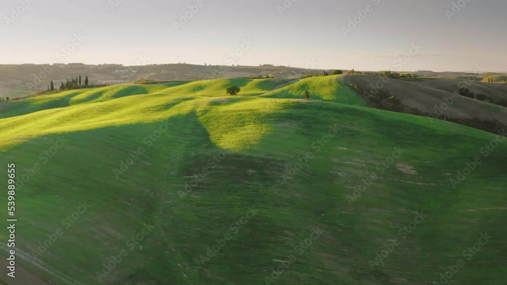 Aerial view of green fields during sunset in Val D'Orcia, Tuscany. Aerial view of green fields during sunset in Val D'Orcia, Tuscany.