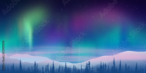 Fantasy on the theme of the northern landscape. Dusk and polar lights. Forest and sunset light. Vector illustration.