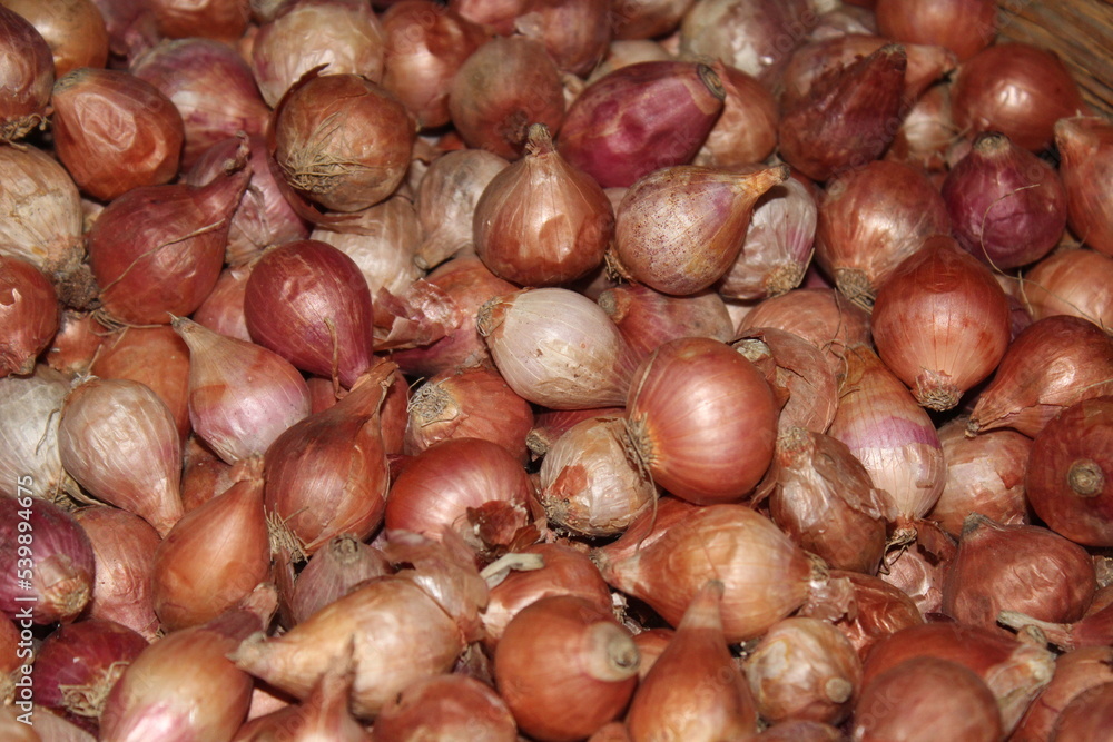 Obraz premium Full Frame Shot Of red Onions. Fresh red onions as a background.