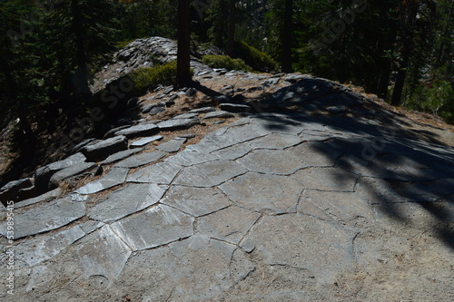 Basalt columns like a geometric tile floor in the forest at Devils Postpile National Monument in Mammoth Lakes, California. 