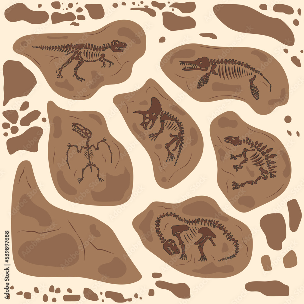 Dinosaur fossil skeleton, buried snail shells, paleontologists find. Vector illustration of rock section with prehistoric reptile bones and ammonite background. Dinosaur fossil skeleton, buried snail shells, paleontologists find. Vector illustration of rock section with prehistoric reptile bones and ammonite background.