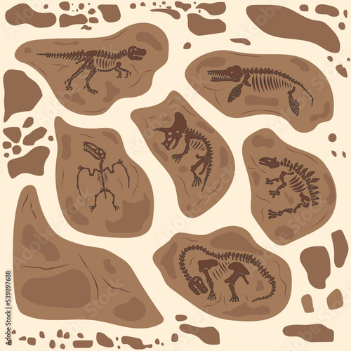 Dinosaur fossil skeleton, buried snail shells, paleontologists find. Vector illustration of rock section with prehistoric reptile bones and ammonite background.
