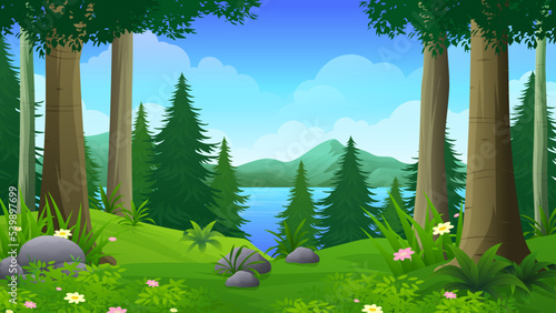 Rain forest with swamp or lake, pine trees and lush grass vector Illustration