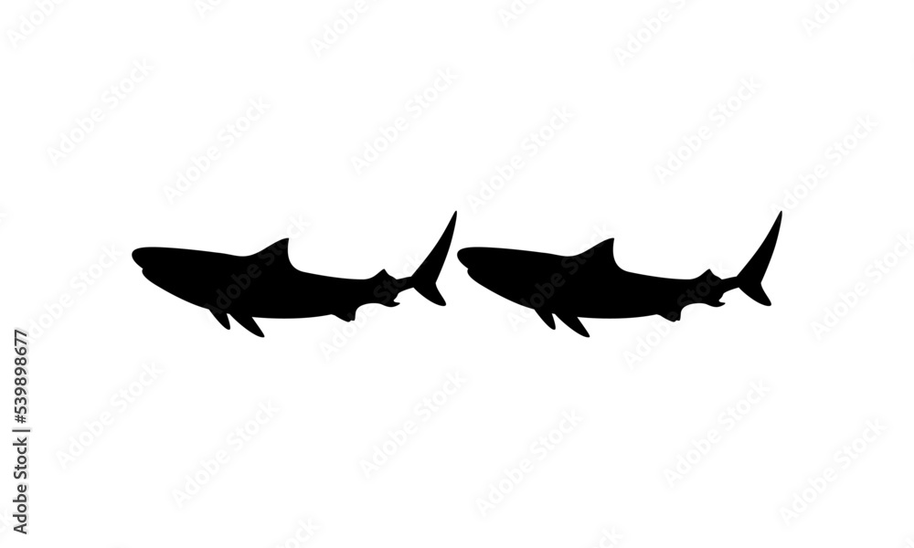 Shark Silhouette for Logo, Pictogram, Website, Art Illustration, Infographic, or Graphic Design Element. Vector Illustration Shark Silhouette for Logo, Pictogram, Website, Art Illustration, Infographic, or Graphic Design Element. Vector Illustration