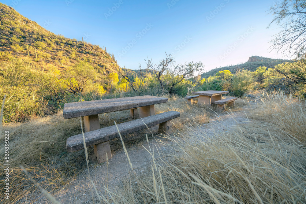 Picnic tables and benches along a hiking trail in Sabino Canyon Arizona Picnic tables and benches along a hiking trail in Sabino Canyon Arizona