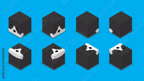 Animal Dice 3D Characters Animal Sheepdog Collie Cartoon Vector