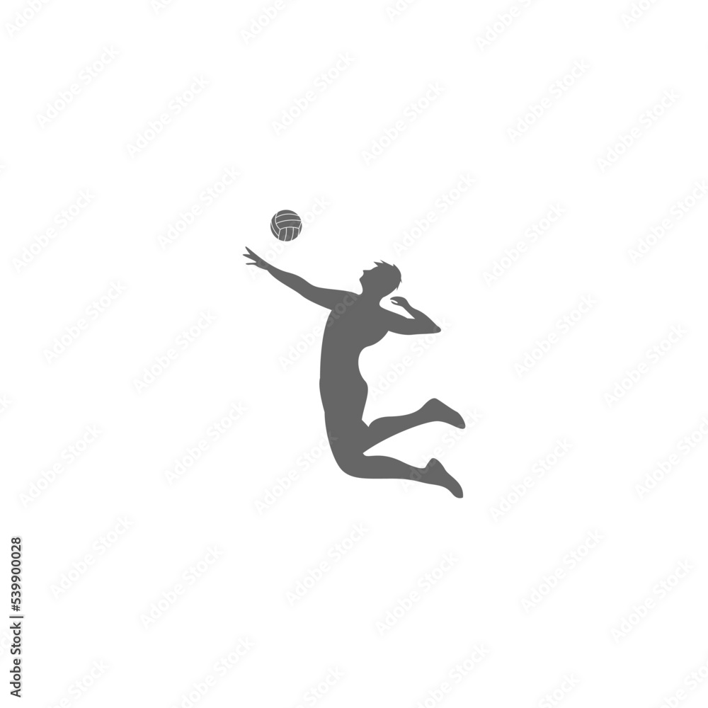 Volleyball logo icon design Volleyball logo icon design