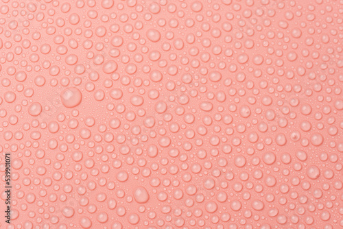 Water drops on a pink background close-up