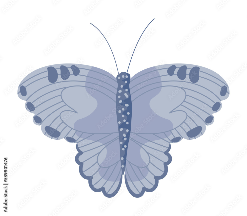 Fototapeta premium Flat Butterfly design