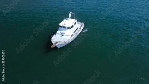 Circling around a sportfishing boat in san Diego bay photo