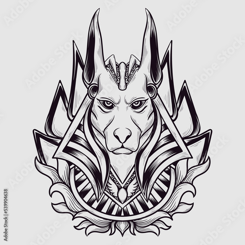 tattoo and t shirt design black and white hand drawn anubis engraving ornament