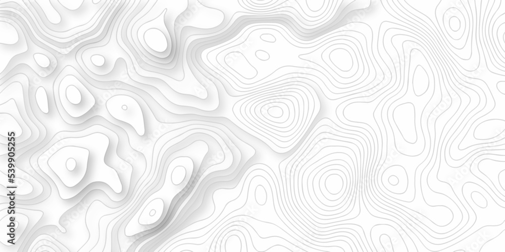 Topographic patter line map background. silver line topography maount map contour background, geographic grid. Abstract vector illustration.	
