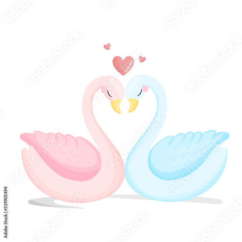 Fototapeta Naklejka Na Ścianę i Meble -  Two swans couple in love in valentine day