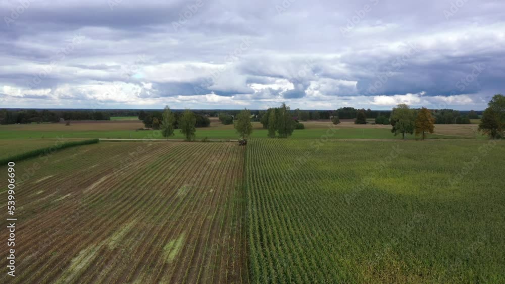 Corn crop harvesting season for silage, aerial approaching towards tractor Corn crop harvesting season for silage, aerial approaching towards tractor