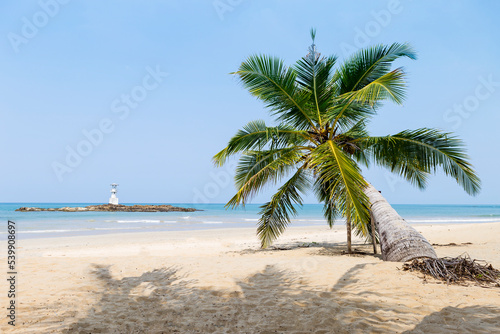Coconut tree on tropical beach background  clean sandy beach with blue sea background  summer outdoor day light