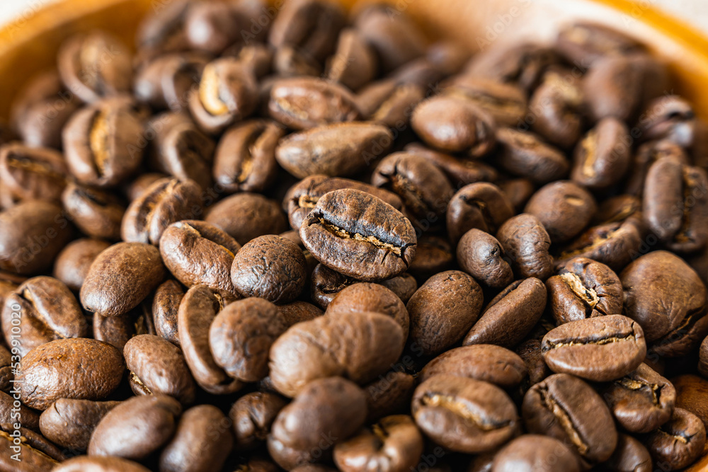 焙煎したコーヒー豆 ペルーアルパカ 焙煎したコーヒー豆 ペルーアルパカ