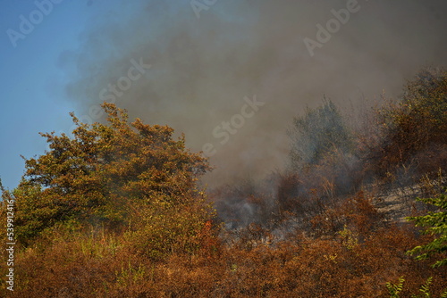 Fires in mountainous areas. Ignition of dry grass  shrubs and trees.