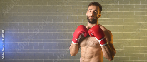 Strong male boxer against b...