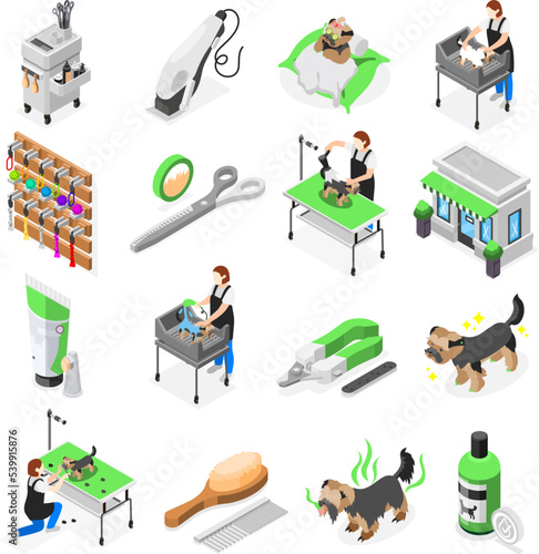 Grooming Salon Icon Set