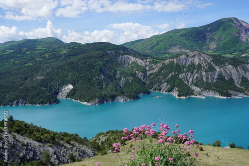 panoramic view with pink spring flowers from the mountains of Serre Ponçon lake in the Southern Alps, France 