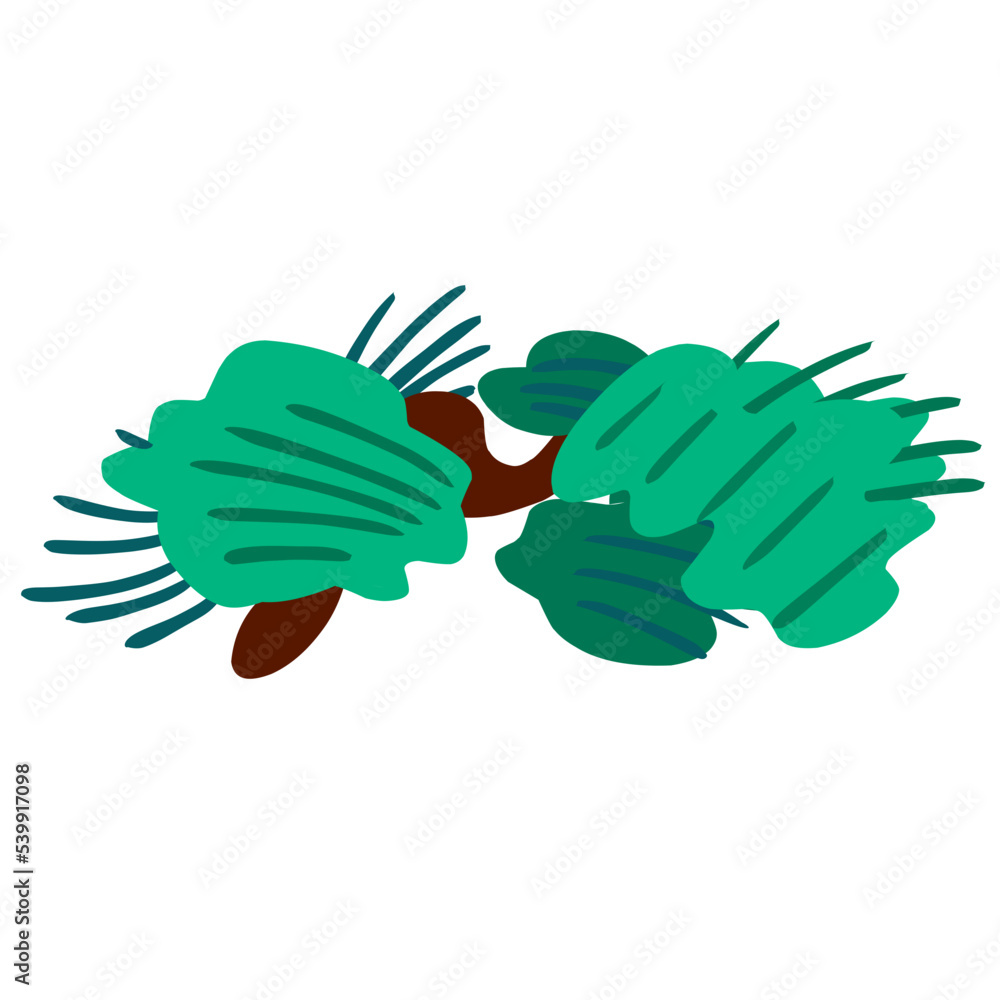 Obraz premium aesthetic tree branch