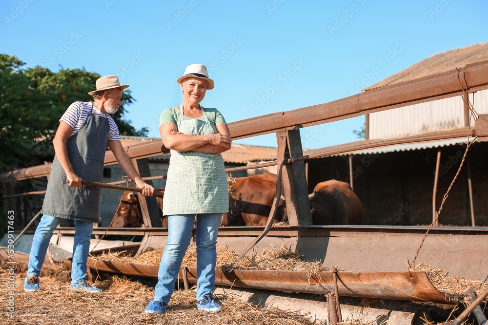 Female mature worker near paddock with cows on farm Female mature worker near paddock with cows on farm