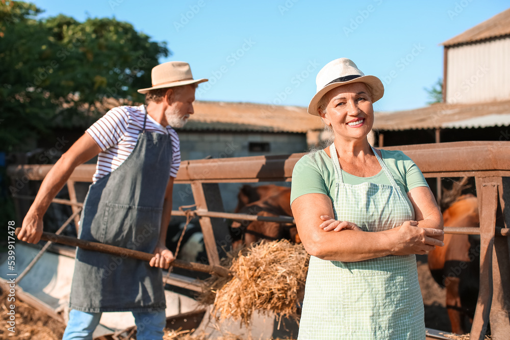 Female mature worker near paddock with cows on farm Female mature worker near paddock with cows on farm