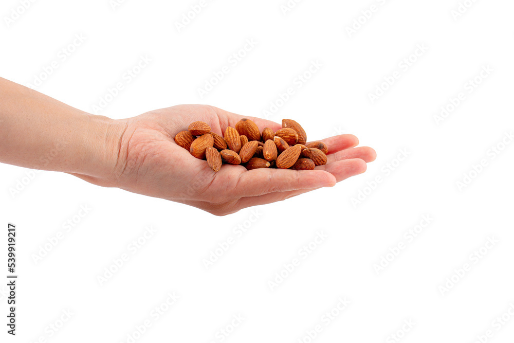 hand holding Almonds seed isolated on transparent background hand holding Almonds seed isolated on transparent background