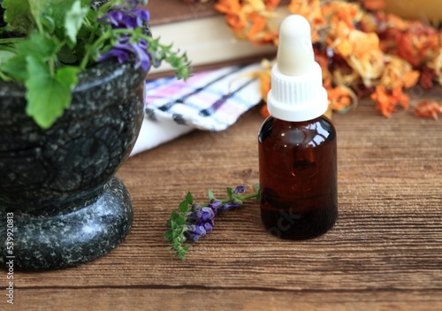 Tincture from Scutellaria lateriflora, known as  blue skullcap or mad dog skull cap. Its extract is used in herbal medicine as a mild sedative and sleep promoter.