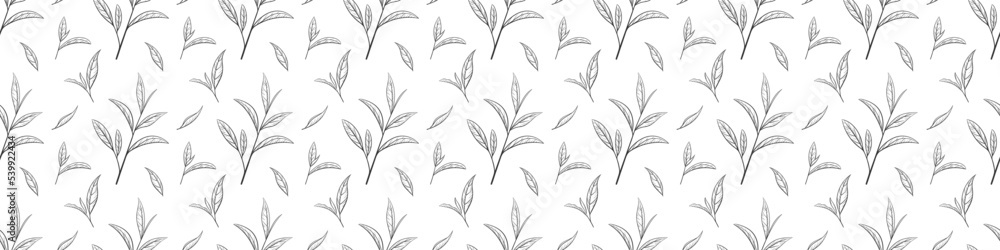 Obraz premium Seamless pattern of green tea leaves, vector illustration. Background hand drawn for print and design. Sketch tea organic food and drink. Outline of plant and tree leaf on a white background