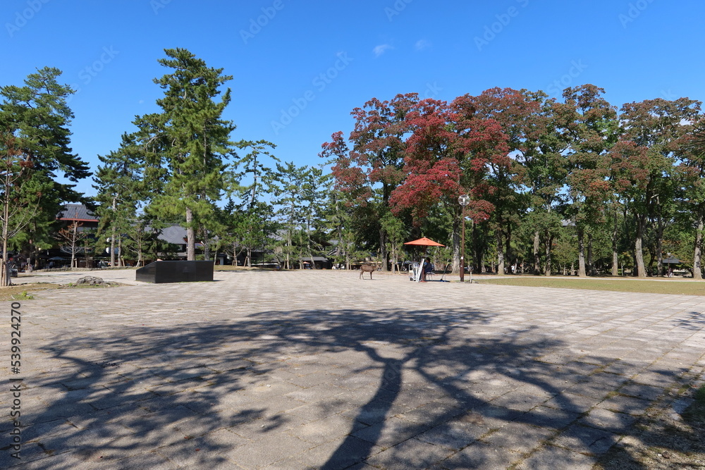 A Japanese park : a scene of the entrance to the access to the precincts of Todai-ji Temple at Nara-koen Park in Nara City in Nara Prefecture 　日本の公園 : 奈良市の奈良公園にある東大寺参道入り口の一風景