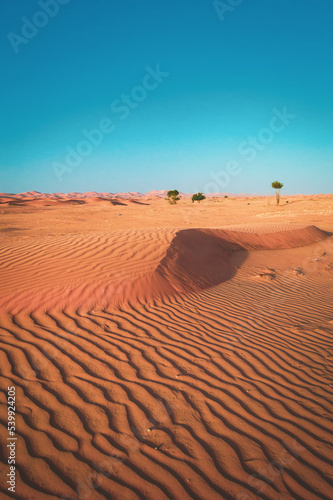 sand dunes in the desert